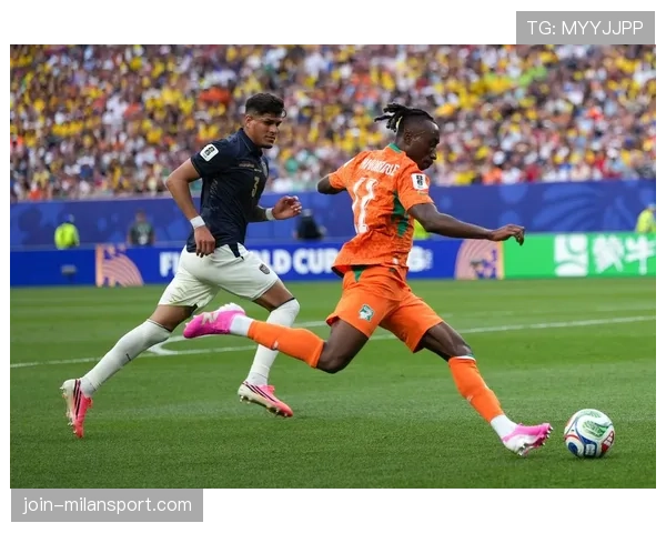 科特迪瓦1-0厄瓜多尔:世界杯小组赛战报整理 科特迪瓦1-0厄瓜多尔:世界杯小组赛战报整理